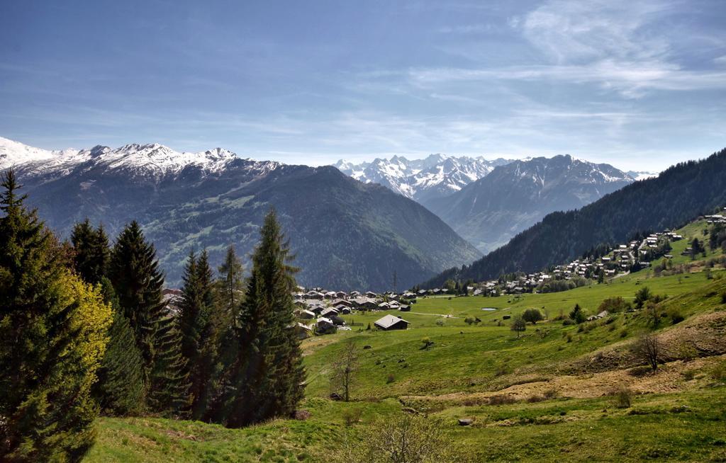 Fouquet 1Er Villa Verbier Kamer foto